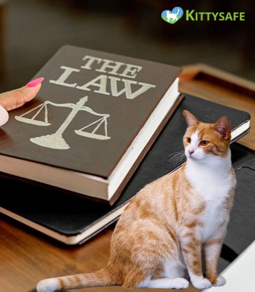 cat law