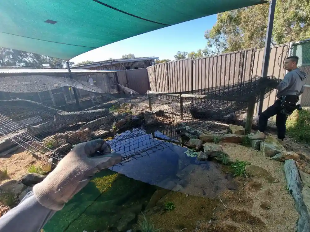 cat enclosures installation Perth