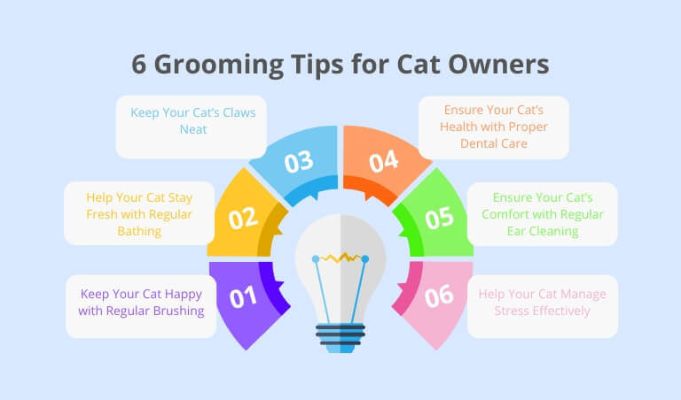 Grooming tips for cat owner