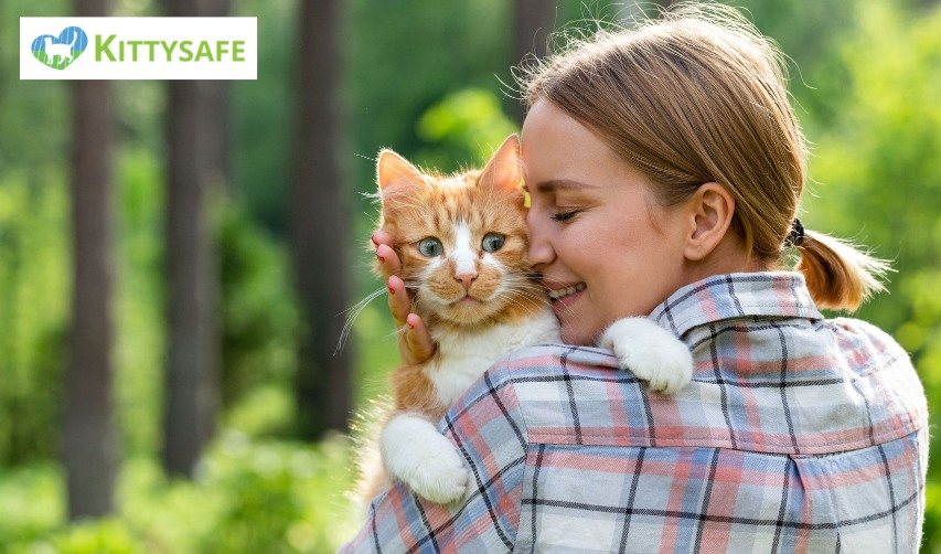 can-i-still-take-my-cat-outside-if-i-cant-cat-proof-my-balcony