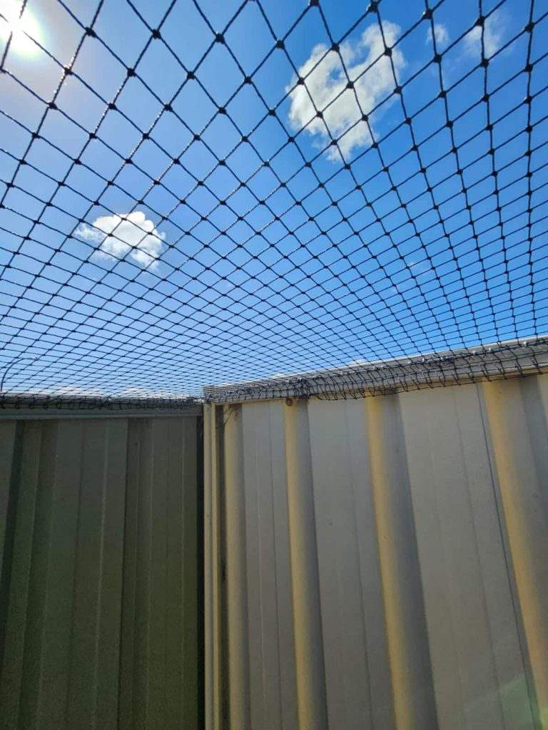 care-tips-for-cat-netting-solutions-perth