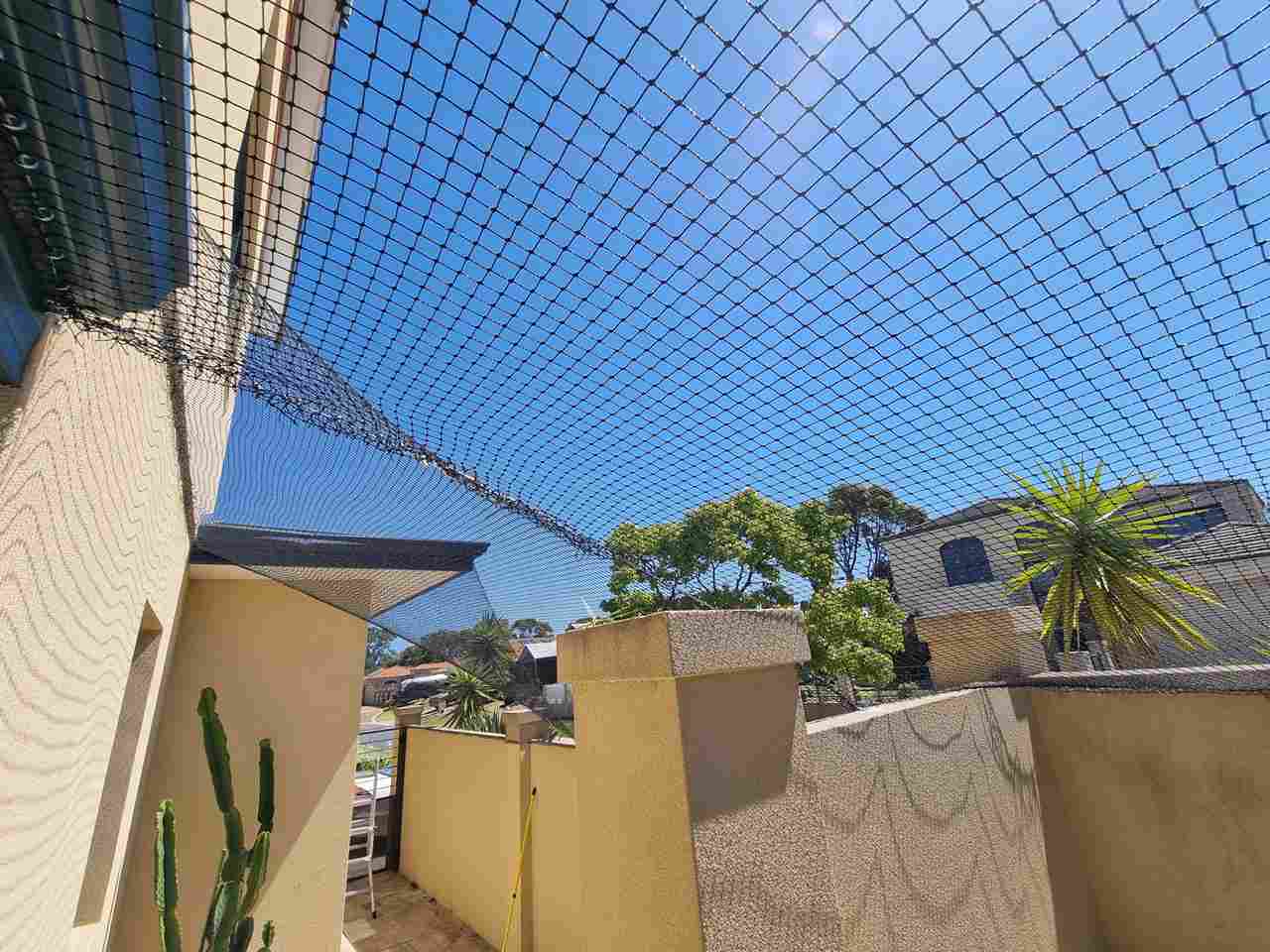 cat-netting-enclosure-on-side-of-house-in-perth