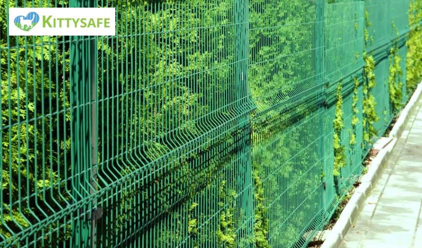 mesh fencing for cat enclosure in perth