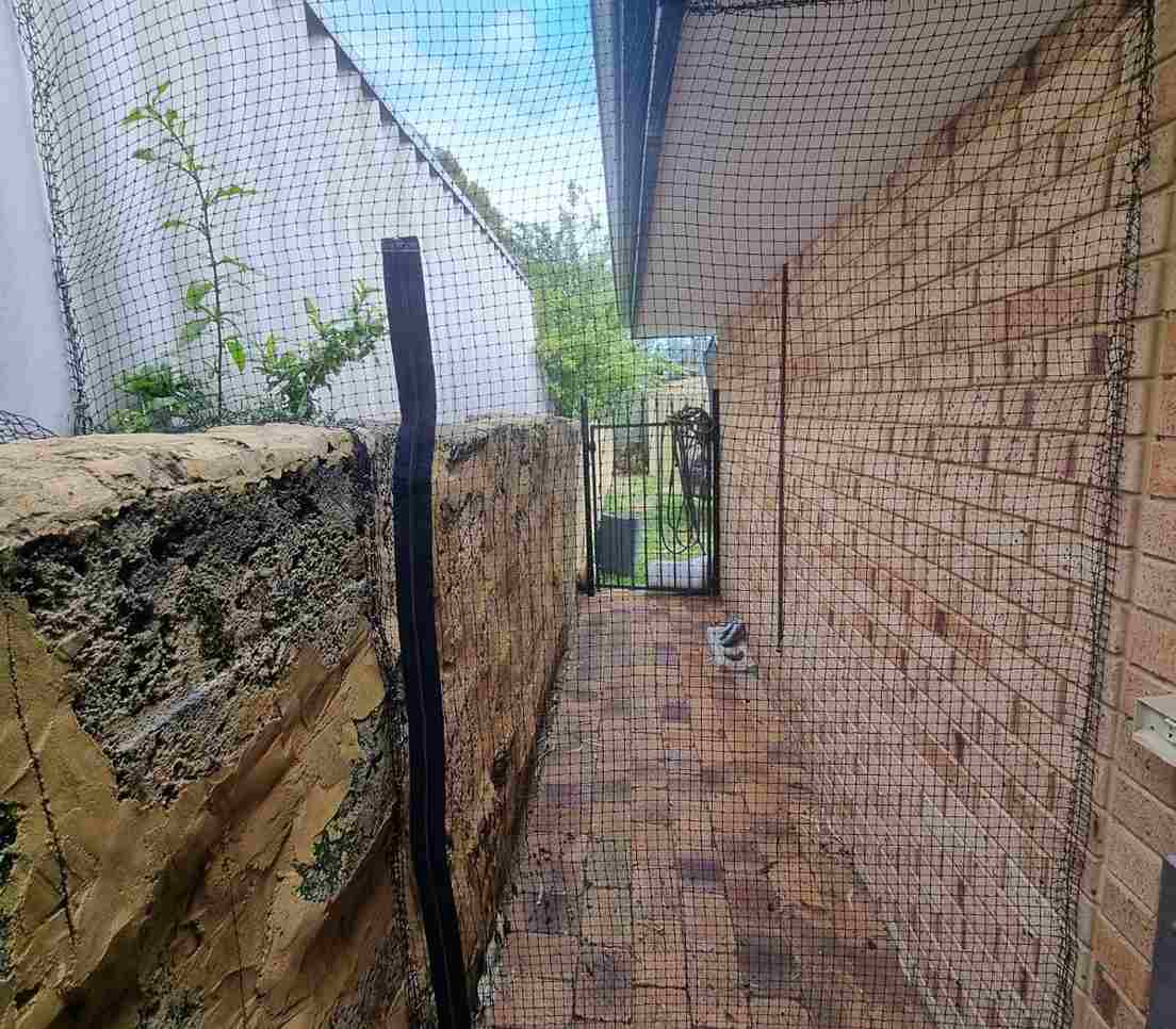 side-of-house-cat-enclosures-perth-australia