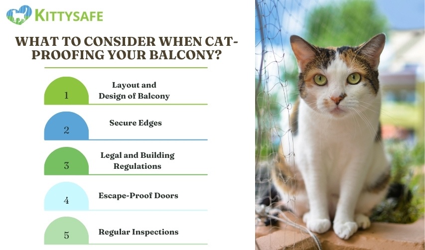 what to consider cat-proofing a balcony in perth 