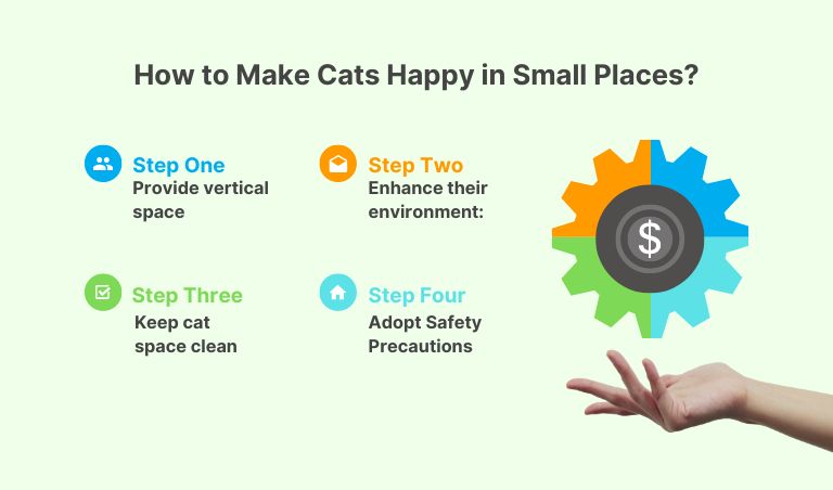 how to make indoor cat happy