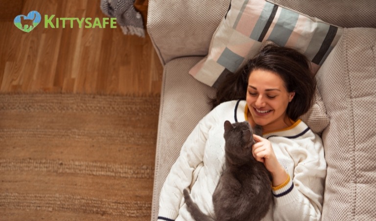 a happy cat in small apartment