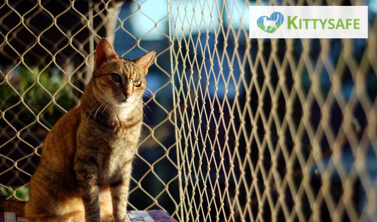 cat enclosures for rental properties
