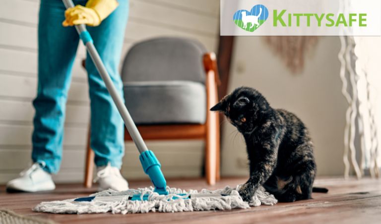 cat catching the floor mop