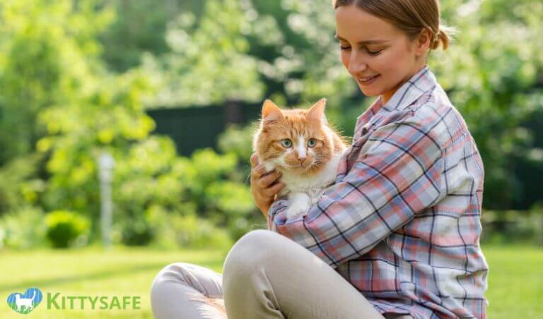 benefit of cat enclosure for cat owners