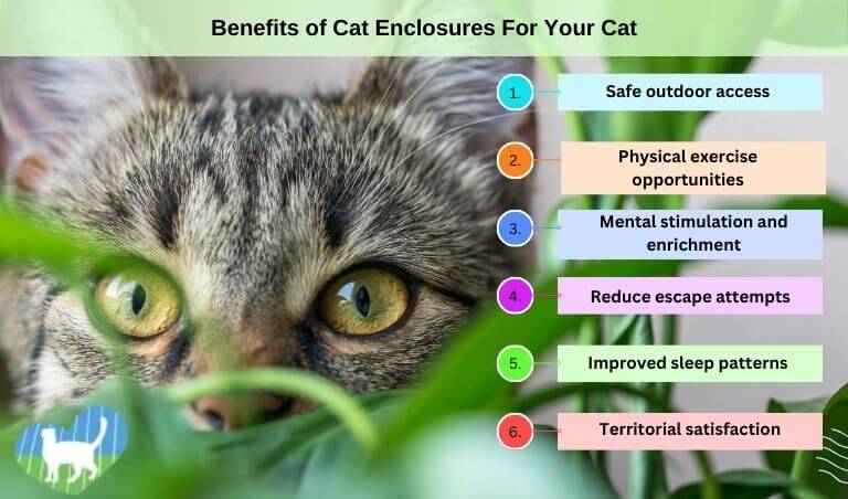 benefits of cat enclosures for cats