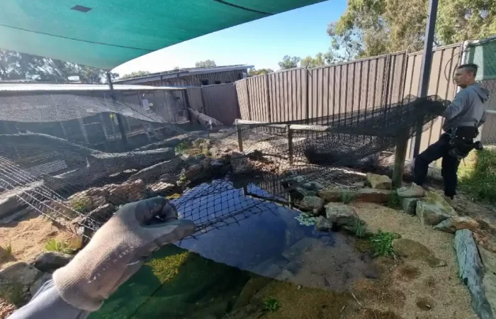 cat enclosures installation Perth