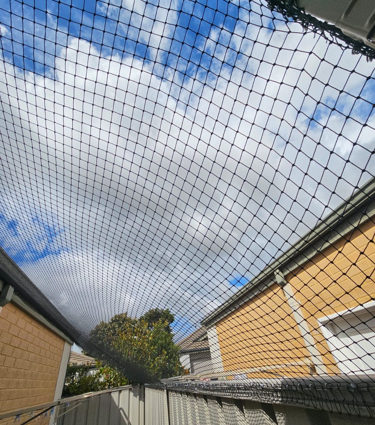 cat netting enclosure