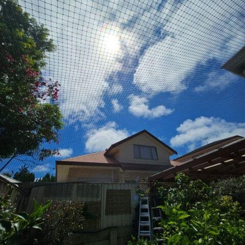 backyard cat enclosure perth