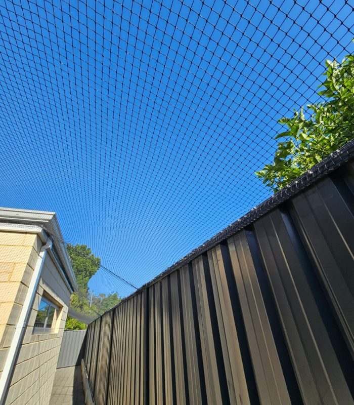 cat-netting-enclosure-installation-perth