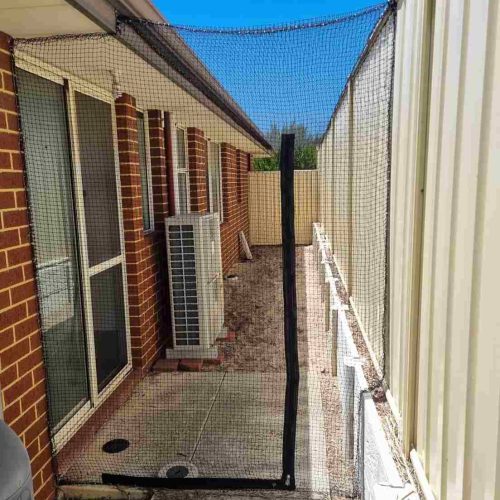 cat-netting-enclosure-on-side-of-house-in-perth_11zon