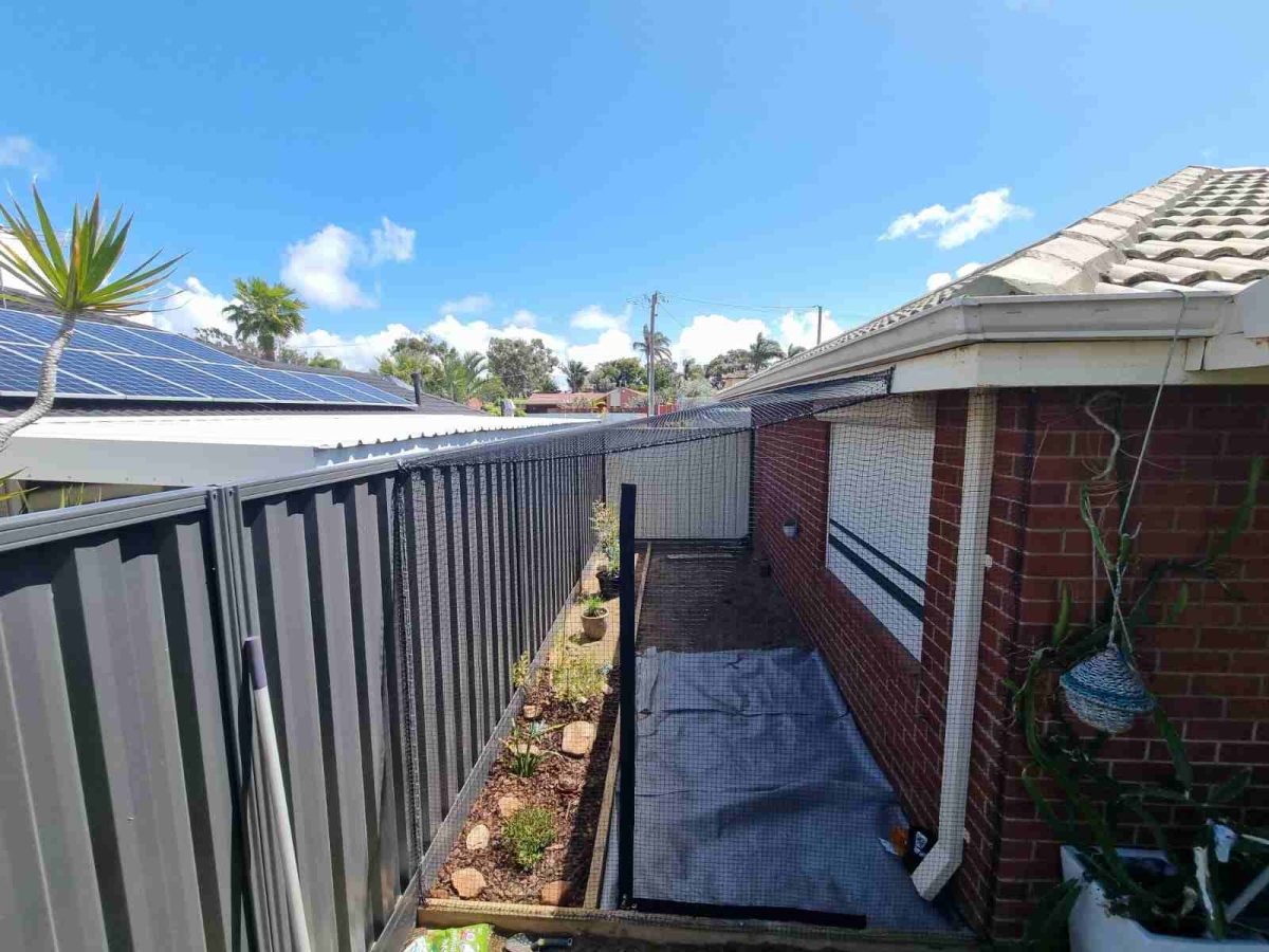 side-of-house-cat-run-in-perth-WA